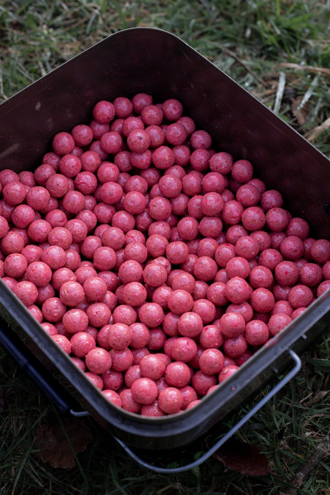 BFP Baits Actiepakket Pink Punch & Fish 'N Tutti - foto 2