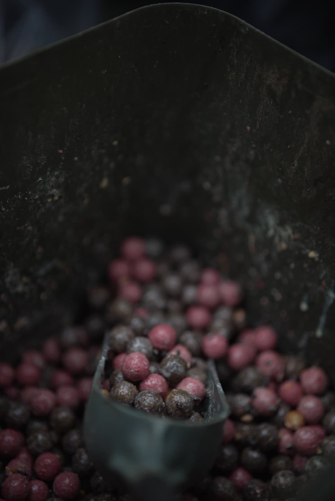 BFP Baits Actiepakket Pink Punch & Fish X - foto 2