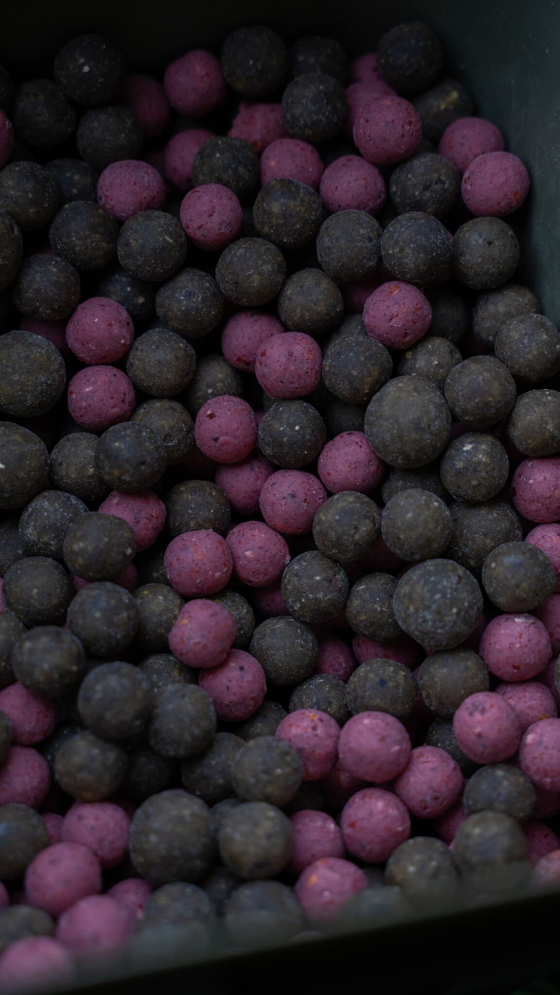 BFP Baits Actiepakket Pink Punch & Fish X