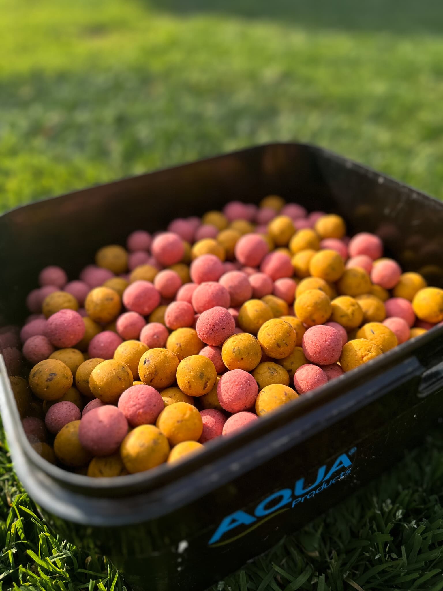BFP Baits Actiepakket Pink Punch & Sweet Temptation