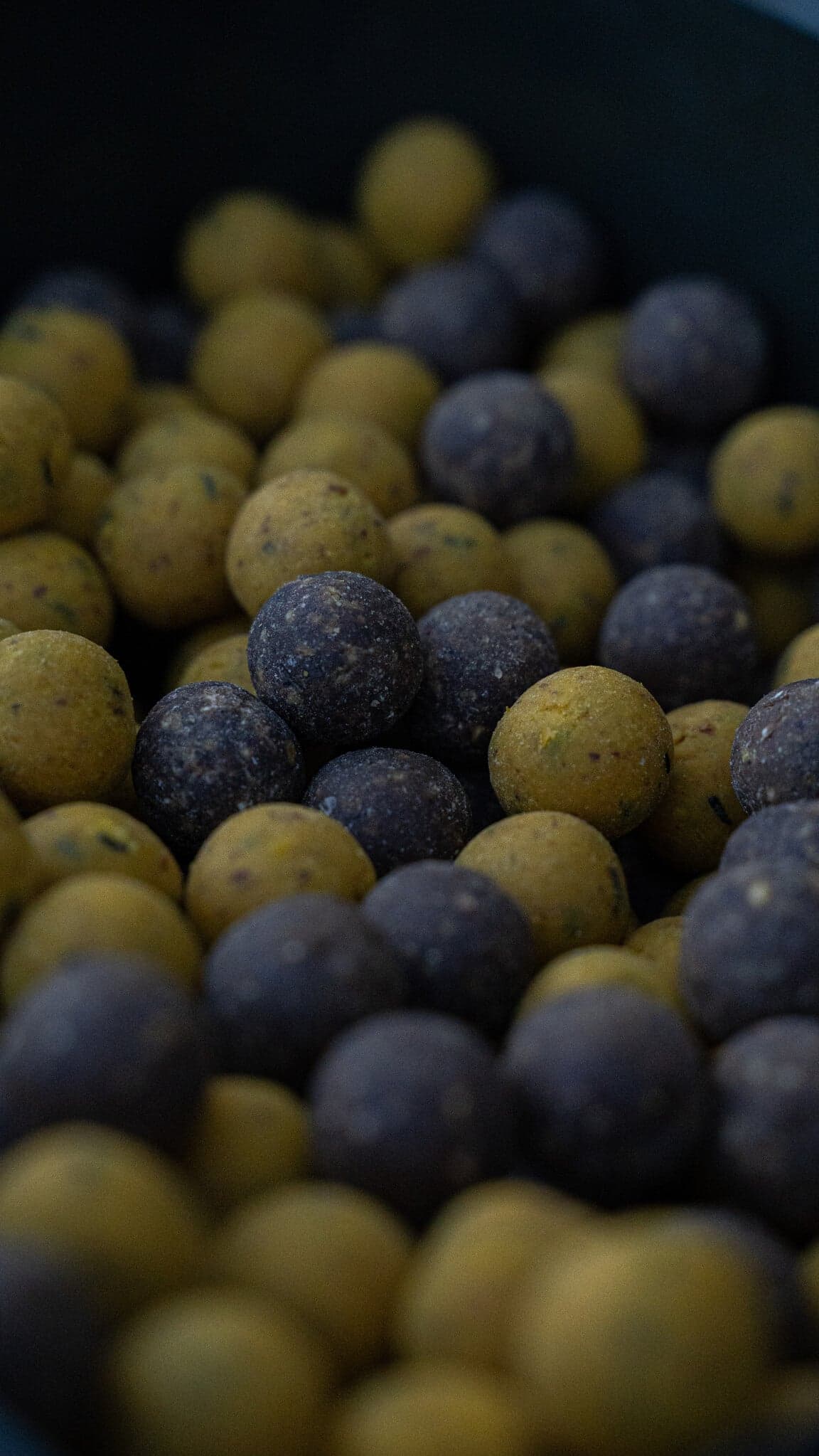 BFP Baits Actiepakket Sweet Temptation & Fish X