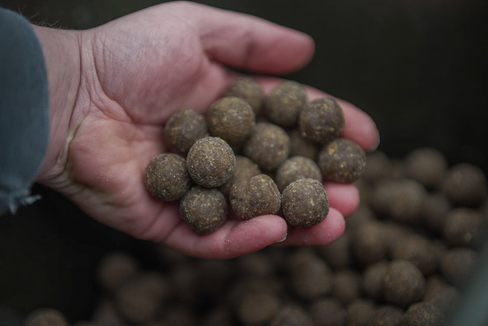 BFP Baits Fish X