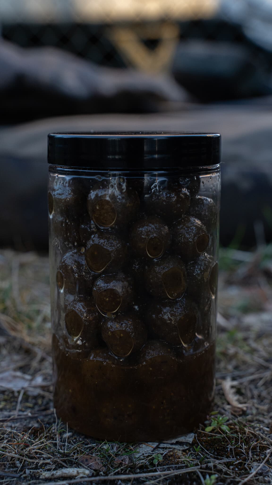 BFP Baits Fish X Soakers - foto 3