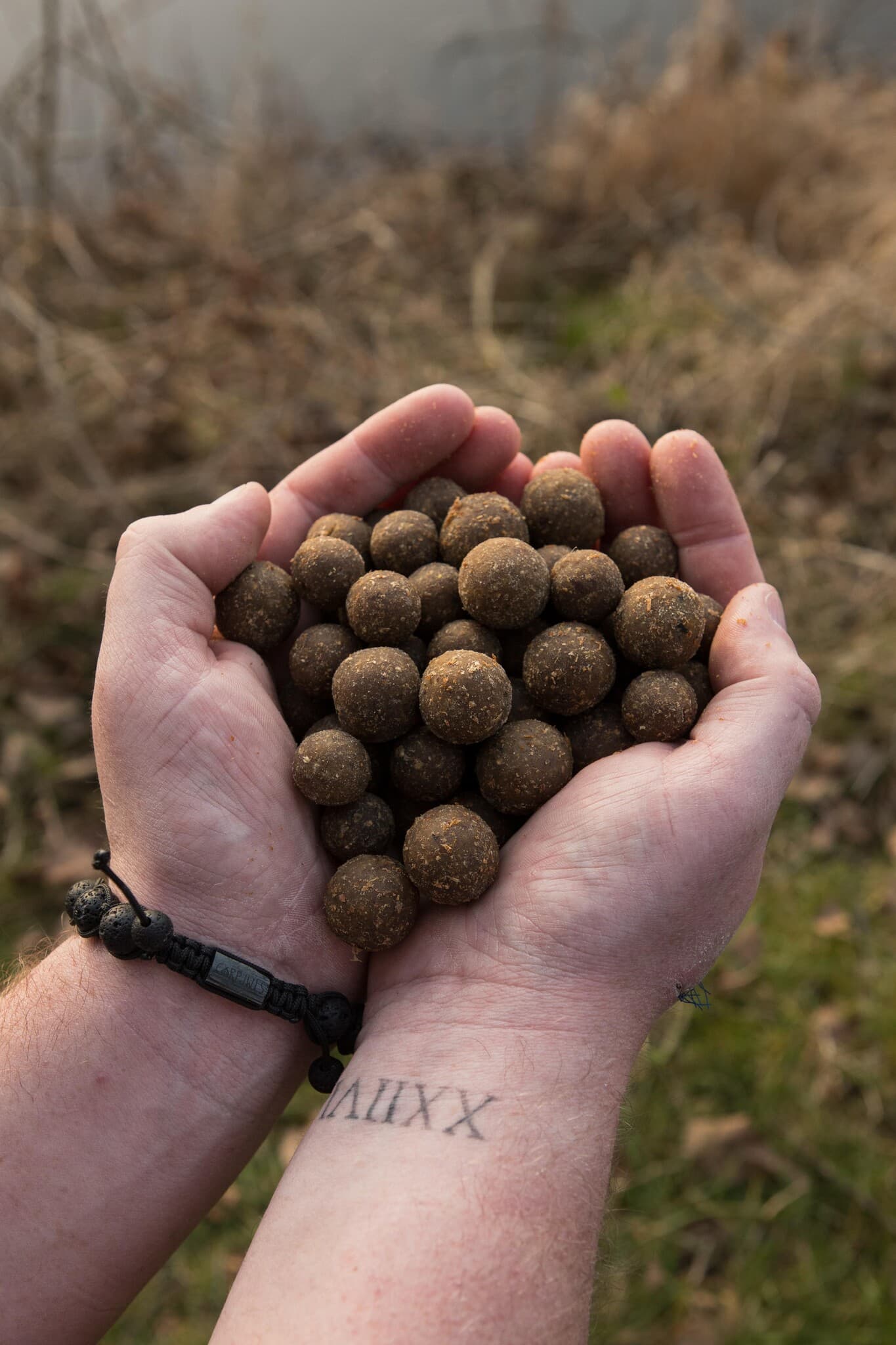BFP Baits Intropakket Fish X (25% korting) - foto 3