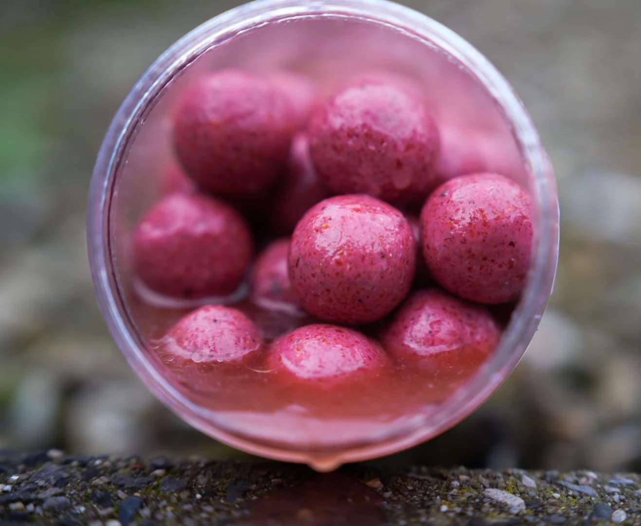 BFP Baits Intropakket Pink Punch (25% korting) - foto 4