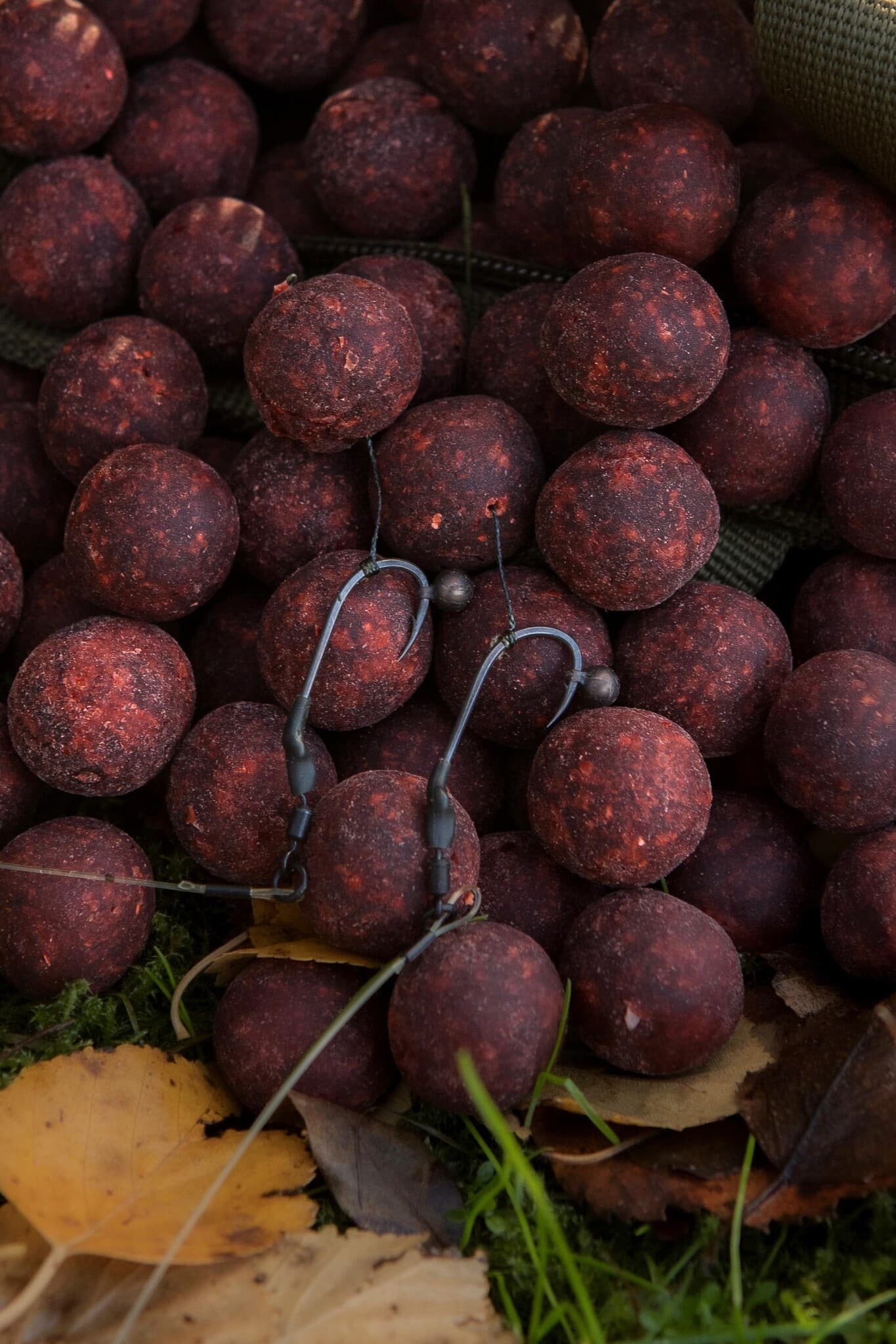 BFP Baits Intropakket Spicy Temptation (25% korting)