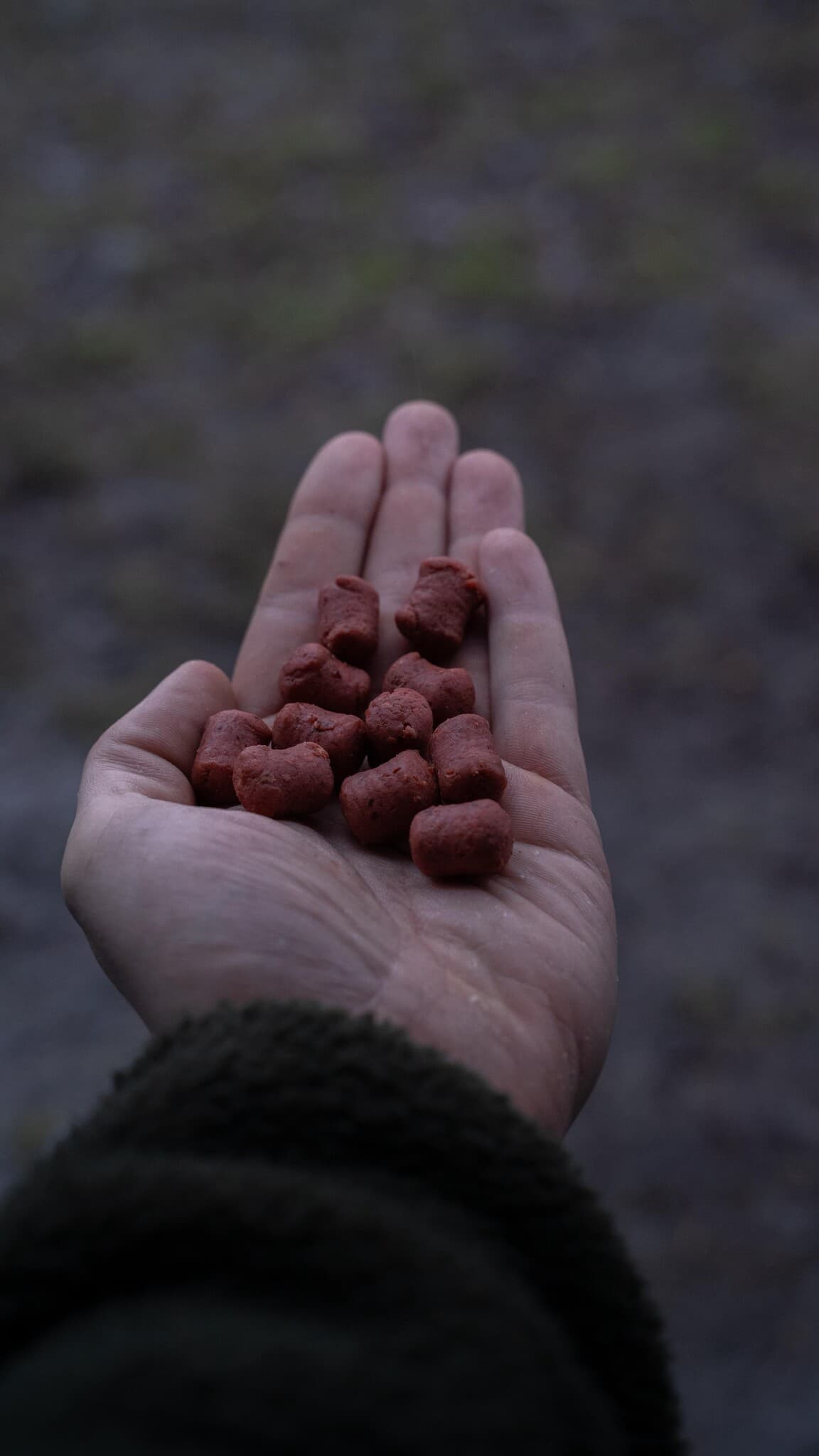 BFP Baits Limited Dumbells 15x20mm - foto 4