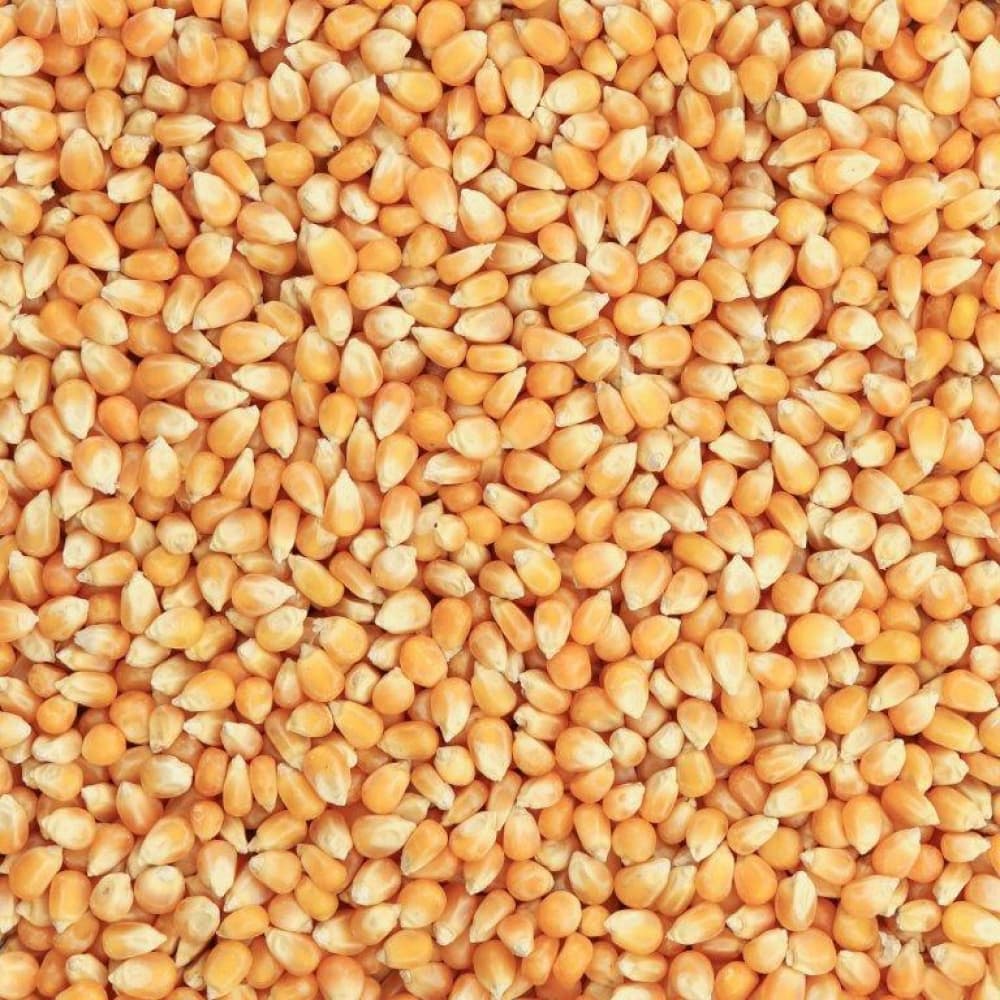 BFP Baits Mais 2.5kg