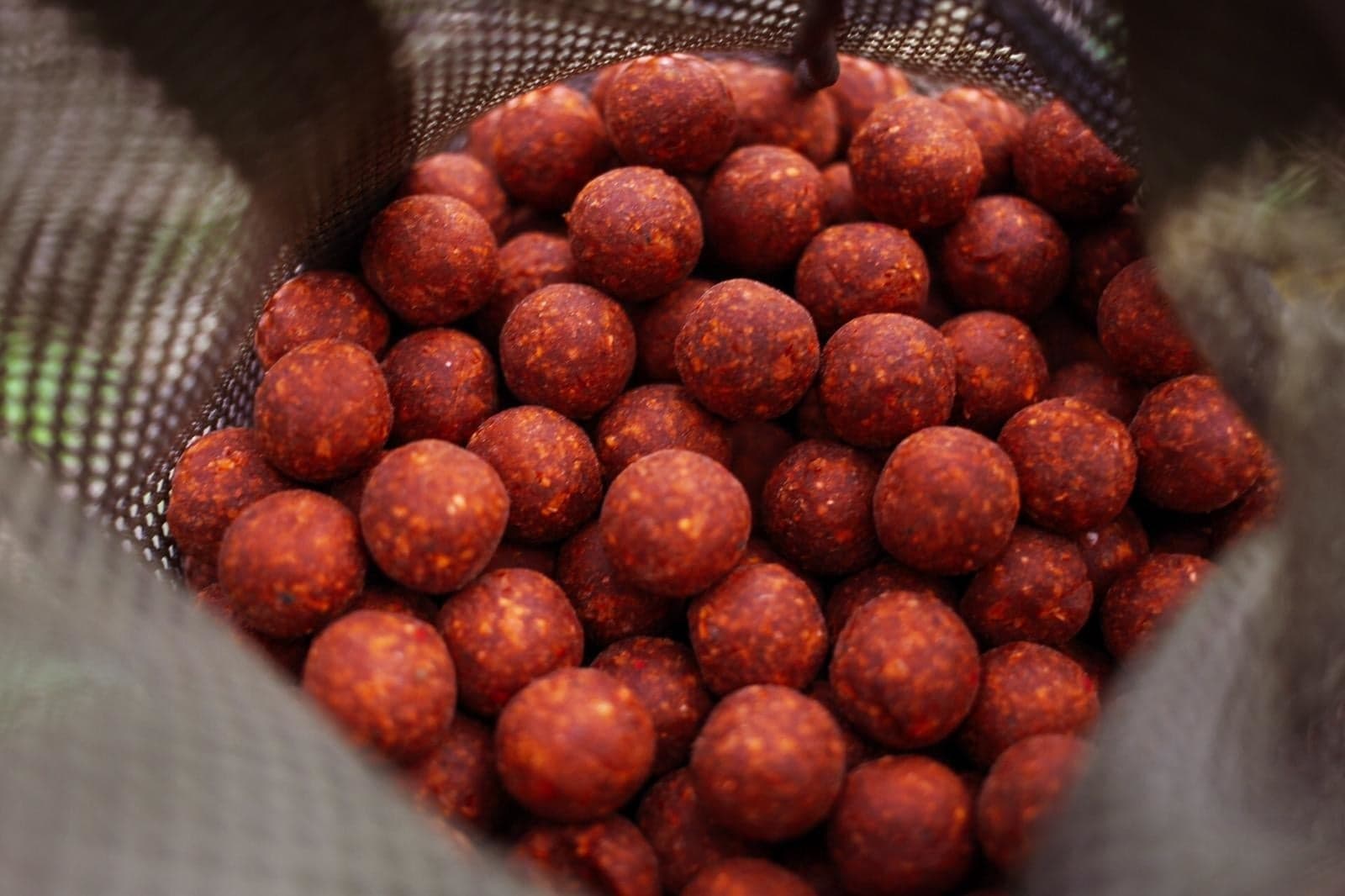 BFP Baits Najaarspakketten - Fish 'N Tutti