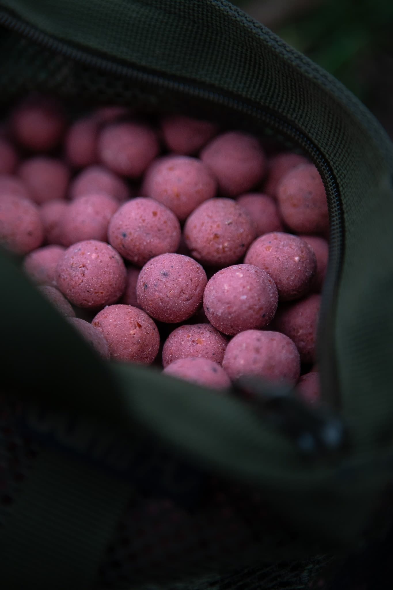 BFP Baits Pink Punch - foto 3