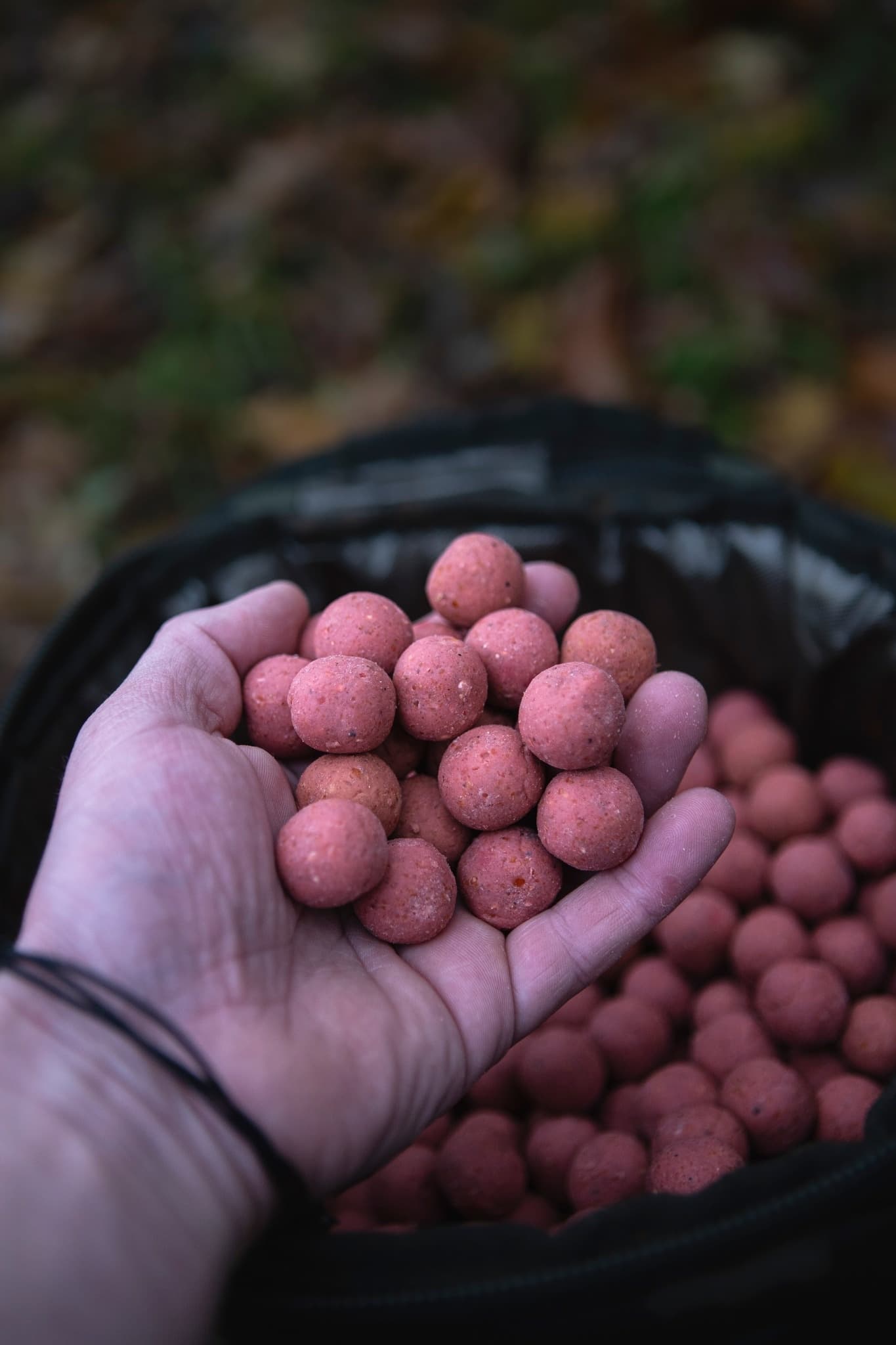 BFP Baits Pink Punch - foto 4