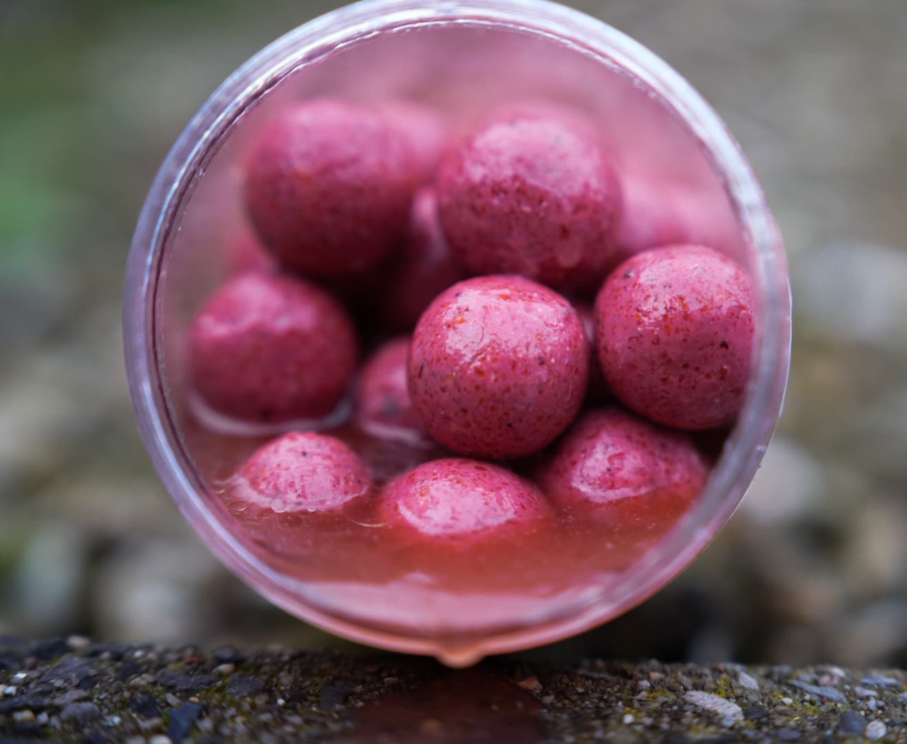 BFP Baits Soakers Pink Punch