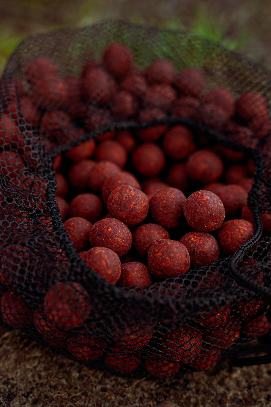 BFP Baits Spicy Temptation - foto 2