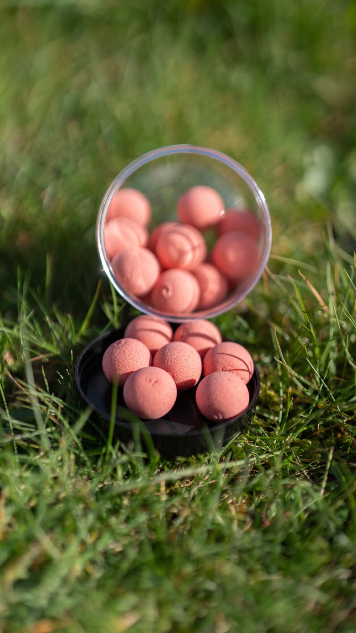 BFP Baits Wafters - foto 2