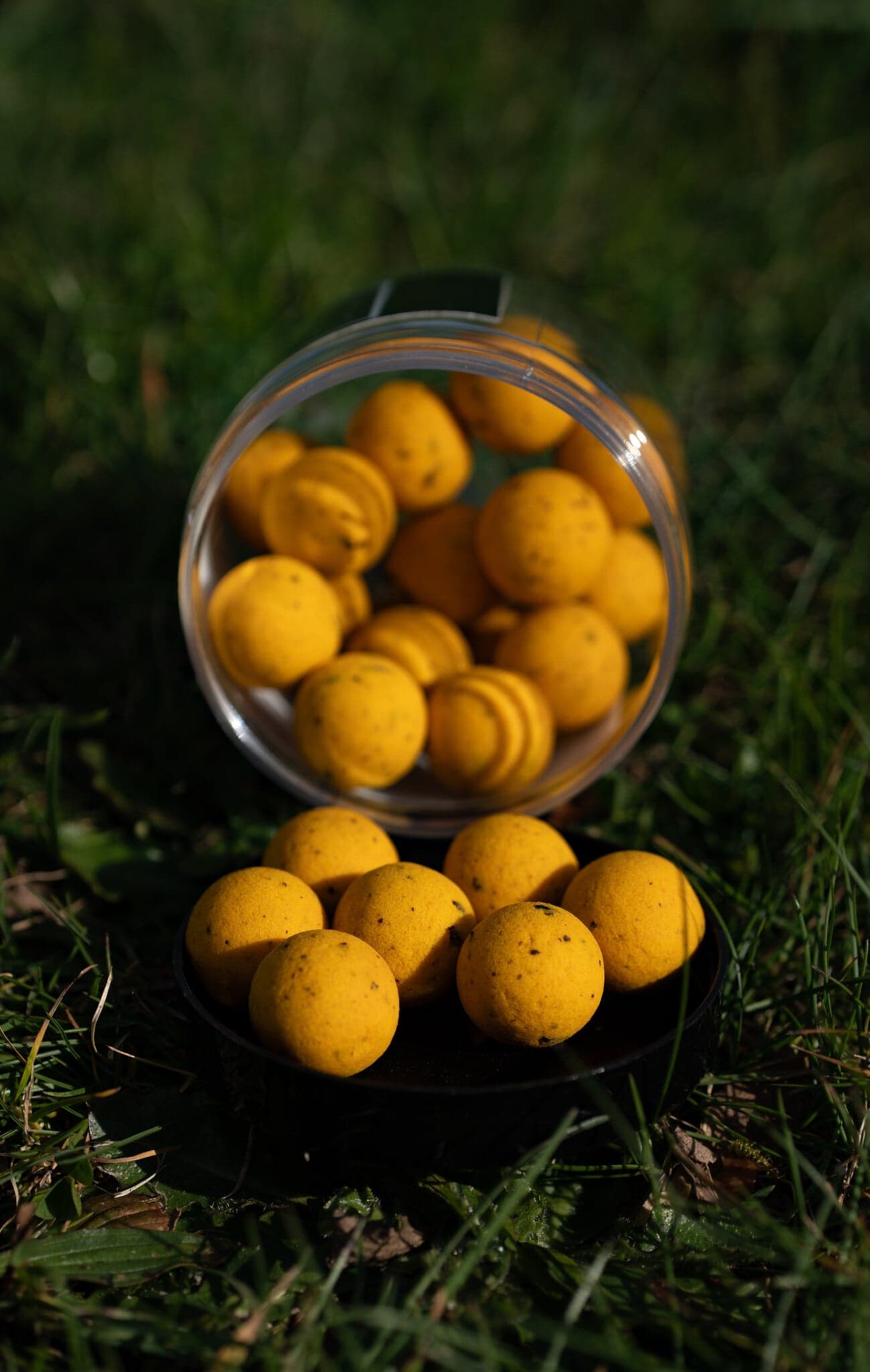 BFP Baits Wafters - foto 3