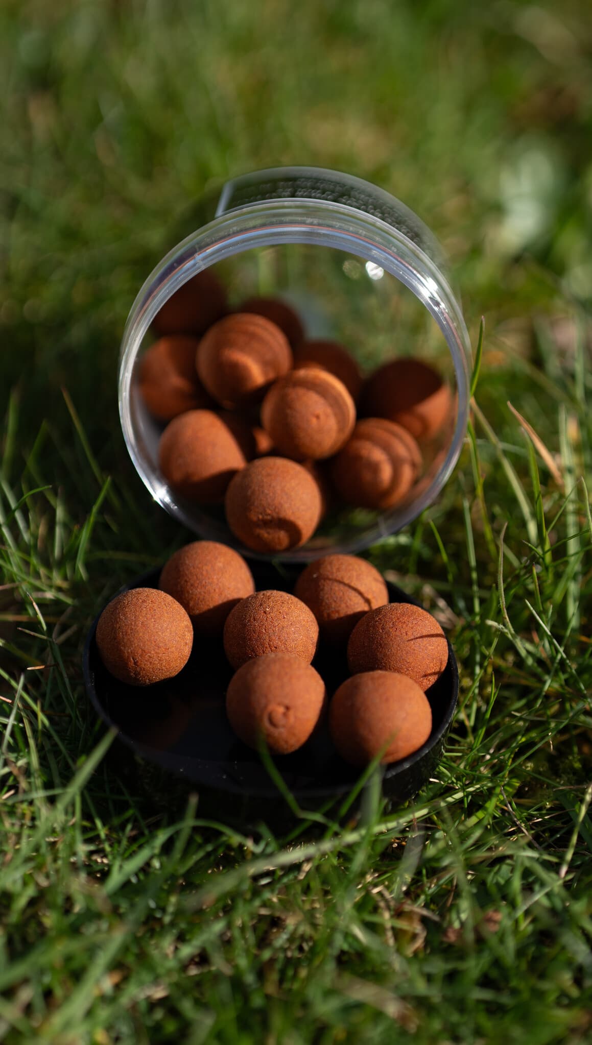 BFP Baits Wafters - foto 5