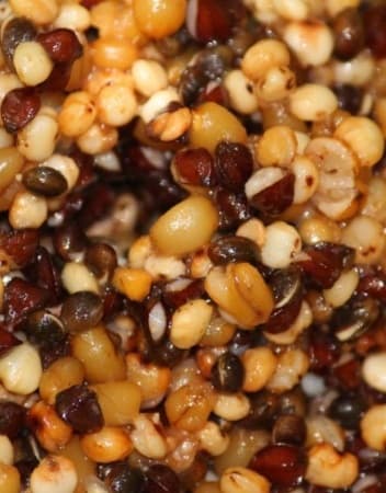 BFP Baits Zadenmix kant en klaar - Bulk