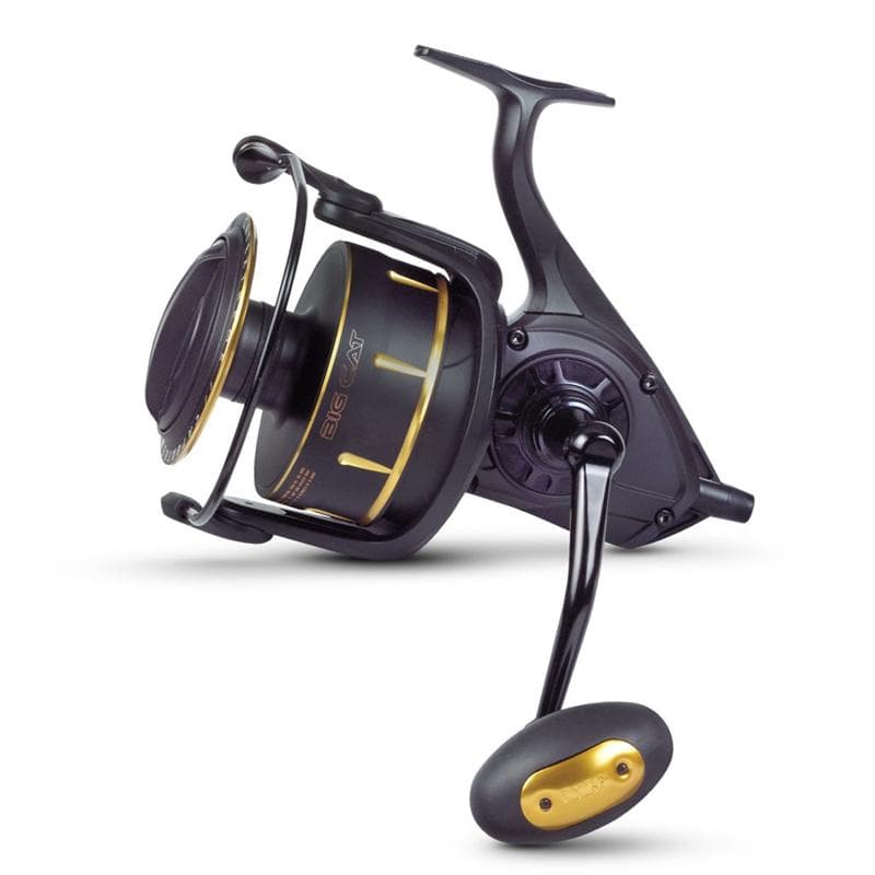 Black Cat Catextreme Big Cat 105