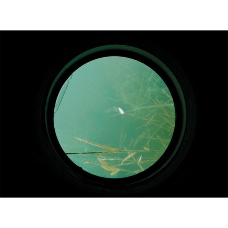 Carp Spirit Water Scanner - foto 6
