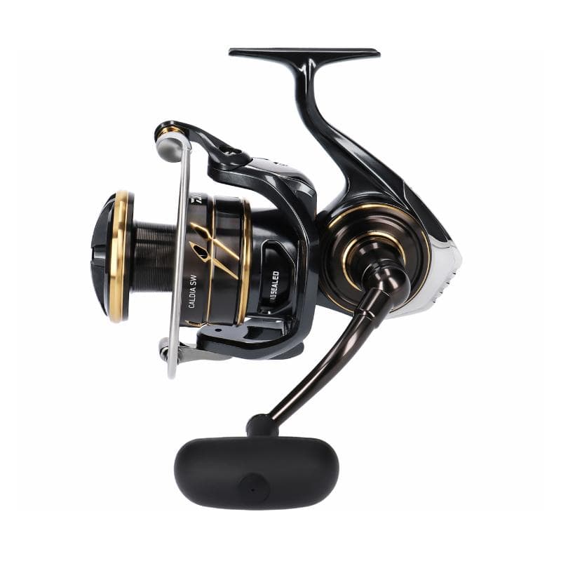 Daiwa 23 Caldia SW 4000D-CXH