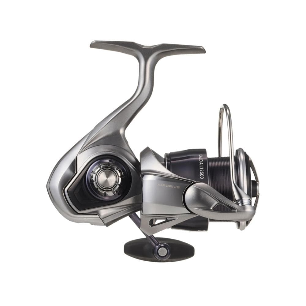 Daiwa 25 Caldia LT 1000S - foto 2