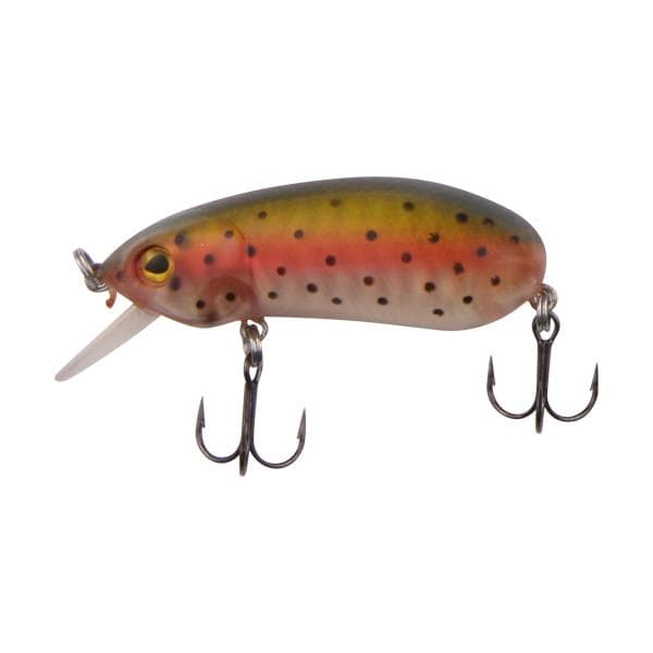 Dam Effzett Fatty Rainbow Trout
