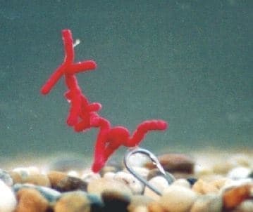Enterprise Tackle Artificial Bloodworm - foto 3