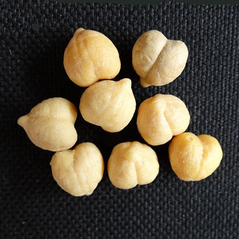 Enterprise Tackle Imitation Chick Peas