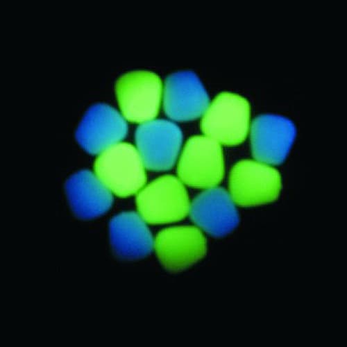 Enterprise Tackle Niteglow Corn