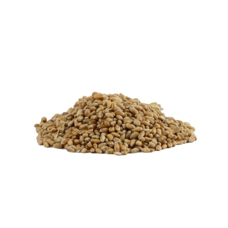 Evezet Tarwe korrel 1kg - foto 2