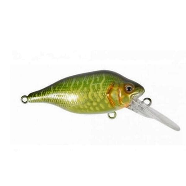 Fox Rage Funk Bug 4cm DR Pike