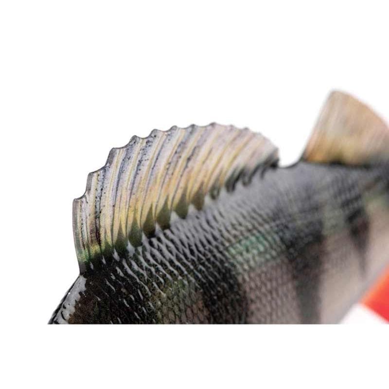 Fox Rage Ultra-Realistic Perch Replicant 10cm - foto 6