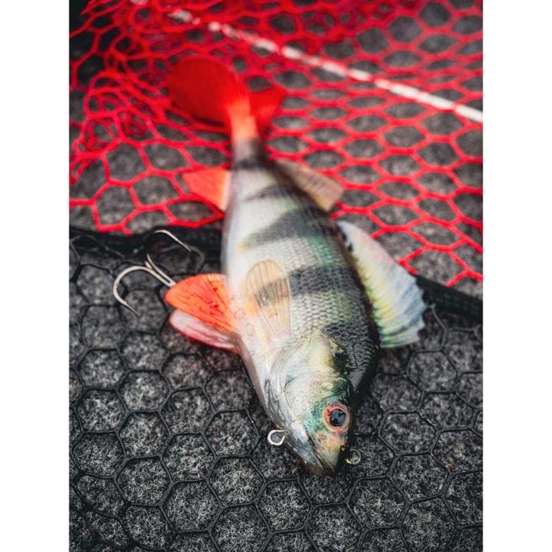 Fox Rage Ultra-Realistic Perch Replicant 10cm - foto 7