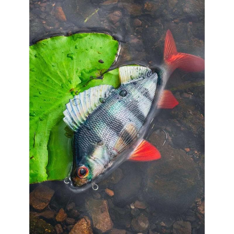 Fox Rage Ultra-Realistic Perch Replicant 10cm - foto 9