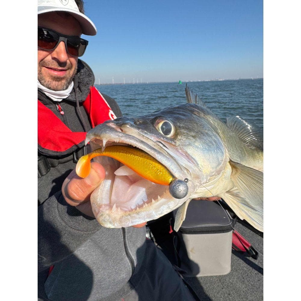 Fox Rage Zander Pro Shad 16cm UV Golden Shiner - foto 2