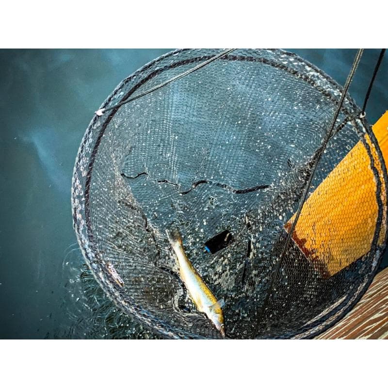 Freestyle Dropnet Xtra 2.0 60cm - foto 9