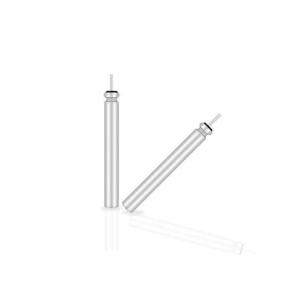 Lion Sports Float Battery 3V 2 stuks