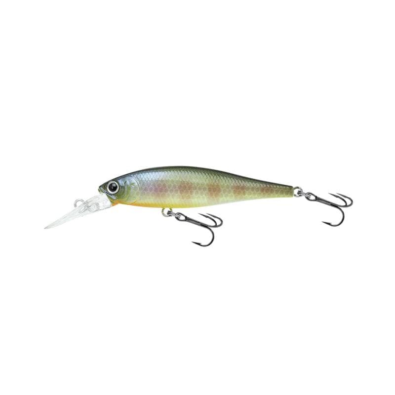 Lucky Craft Pointer 65DD BE Gill