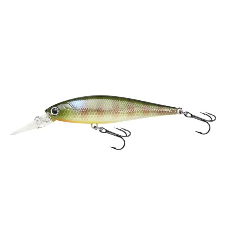Lucky Craft Pointer 78DD BE Gill