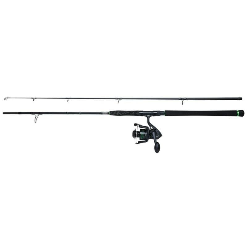 Madcat Silure Spin Meerval Combo 2.70m 80-200g