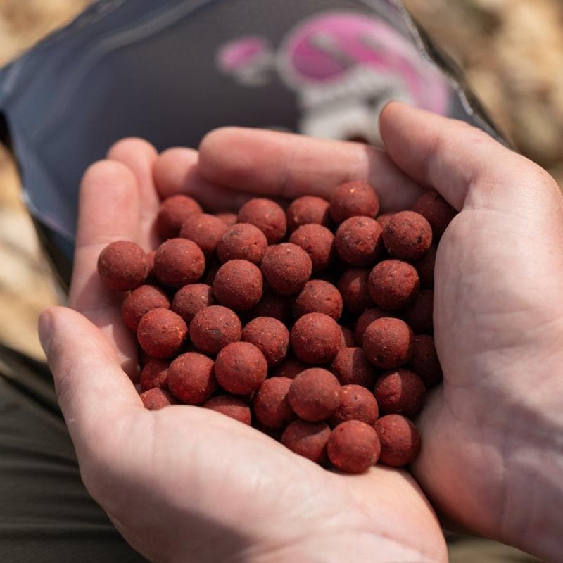 Mainline High Impact Boilies Spicy Crab 20mm - 3kg - foto 3