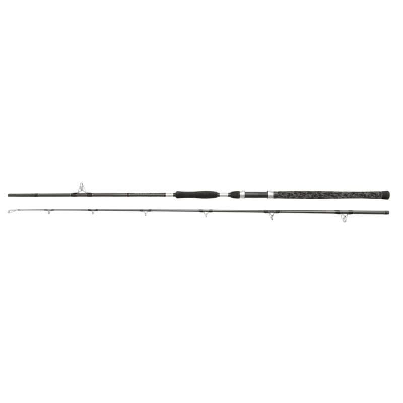 Penn Legion Cat Silver Allround 2.40m 100-300g