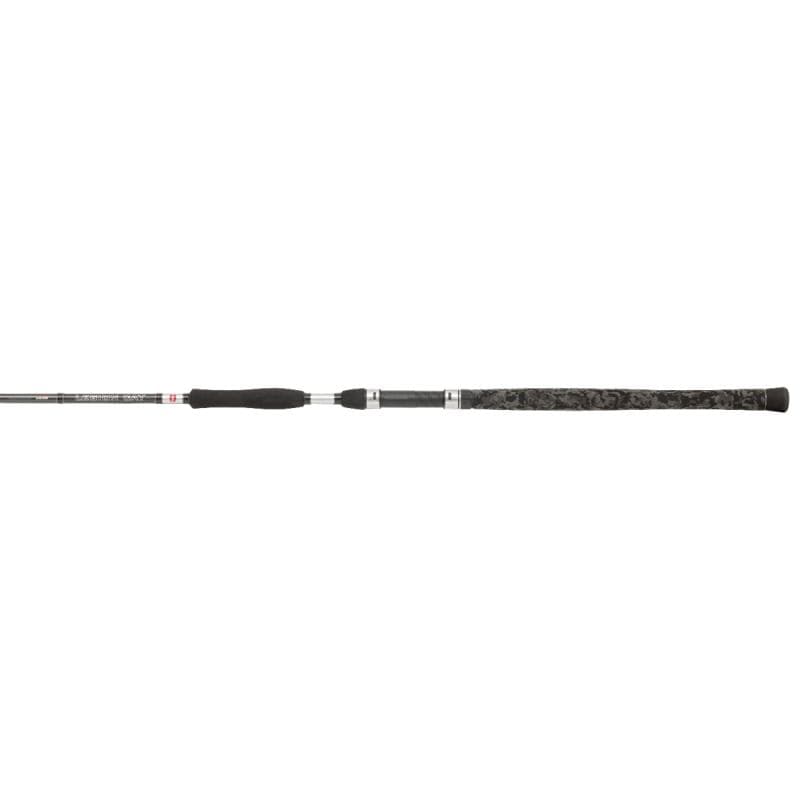 Penn Legion Cat Silver Allround 2.70m 100-300g