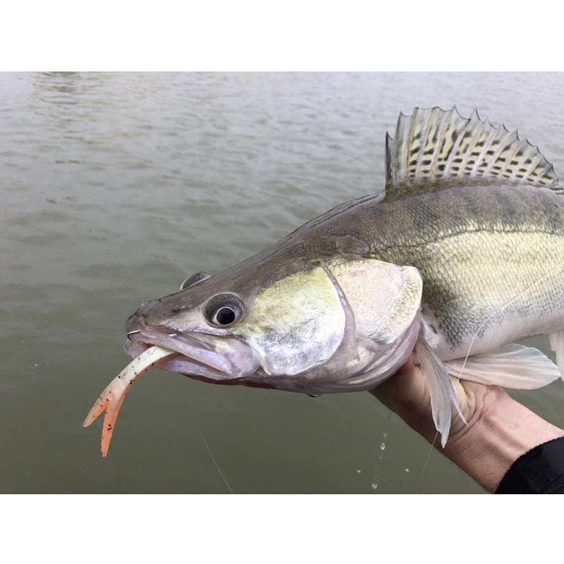 Quatum Original Pelagic Shad 21cm 60g Toxic River - foto 4