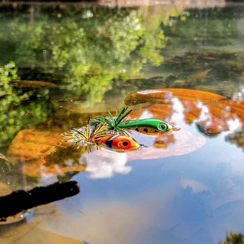Rapala BX Skitter Frog 5.5cm Hot Peacock Bass - foto 2