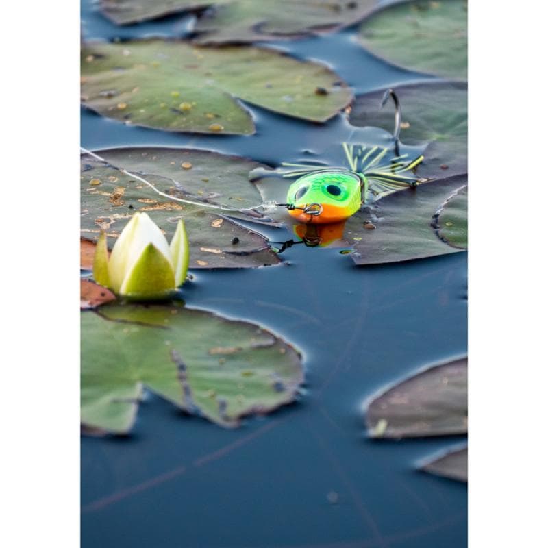 Rapala BX Skitter Frog 5.5cm Thai Frog - foto 3