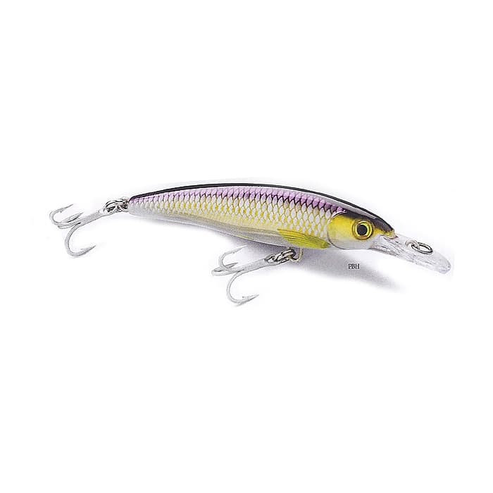 Rapala XXX-Rap 10cm