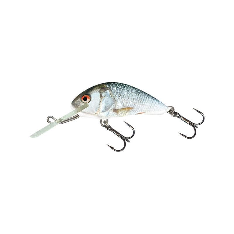 Salmo Hornet 2.5cm Sinking Real Dace