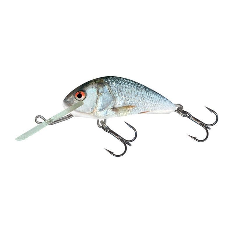 Salmo Hornet 4cm Sinking Real Dace