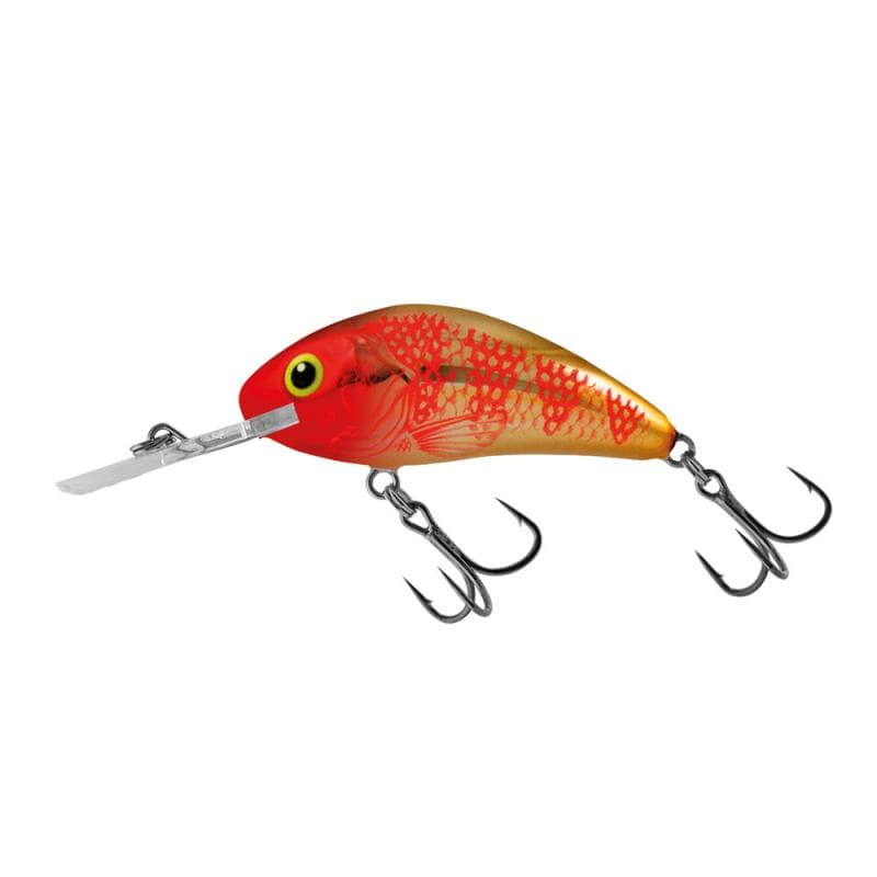 Salmo Rattlin Hornet 5.5cm Floating Golden Red Head